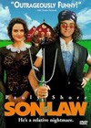 Son In Law (1993).jpg